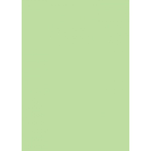 Χαρτι Canson Colorline 50X70 Σε Πρασινο Μηλο Χρωμα Apple Green  (105741027)