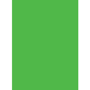 Χαρτι Canson Colorline 50X70 Σε Ανοιχτο Πρασινο Χρωμα  (105741029)
