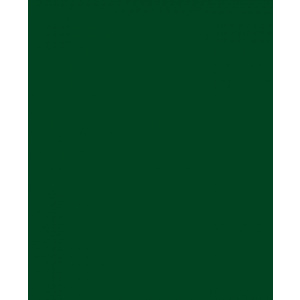 Χαρτι Canson Colorline 50X70 Σε Πρασινο Του Βρυου Χρωμα Moss Green  (105741030)