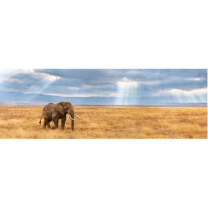 Παζλ Clementoni 1000 Κομμάτια H.Q.Panorama ελέφαντας  (1220-39484)