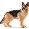 Ζωάκια Schleich Σκύλος Γερμανικός  (SCH16831)