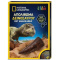 National Geographic  Σετ Ανασκαφής Απολίθωμα Δεινοσαύρου  (NAT06000)